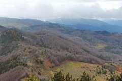 koukourountzos2
