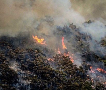 Δασική πυρκαγιά – Πώς να αντιδράσουμε