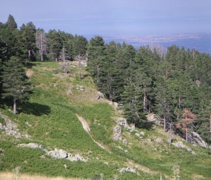 Διήμερη εξόρμηση 31/5 και 1/6 στα Πιέρια Όρη