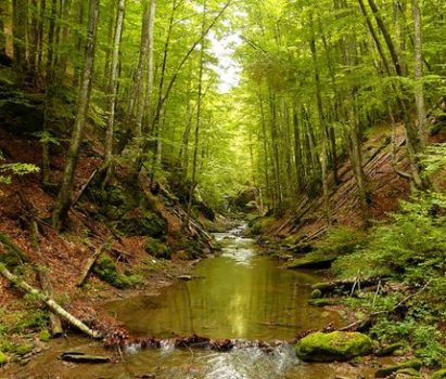 ΑΝΑΛΥΤΙΚΟ ΠΡΟΓΡΑΜΜΑ ΣΤΟ ΠΑΙΚΟ 8-9 ΝΟΕΜΒΡΙΟΥ 2025