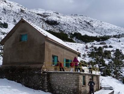 Ανακοίνωση σχετικά με την κοπή της βασιλόπιτας