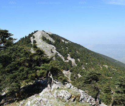 Διήμερη εξόρμηση στα Γεράνεια Όρη, Λουτράκι και Κιθαιρώνα στις 2-3 Μαΐου 2026